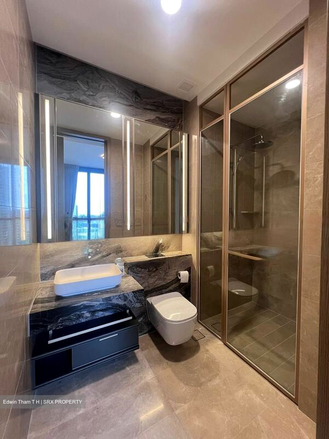 The Avenir (D9), Condominium #526519071